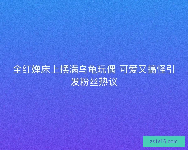 全红婵床上摆满乌龟玩偶 可爱又搞怪引发粉丝热议