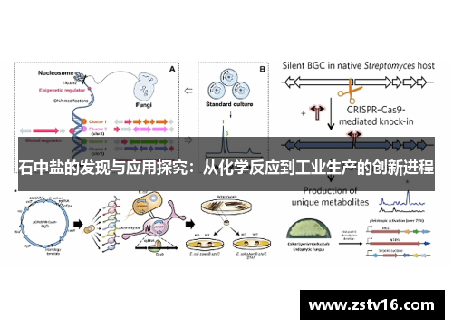 石中盐的发现与应用探究：从化学反应到工业生产的创新进程